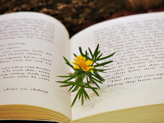 Tình yêu sách có lẽ là tình yêu không bao giờ hết thời. Nếu bạn cũng là một người yêu sách, hãy xem hình ảnh chụp sách để cảm nhận sự đẹp đẽ của các bộ sách trên kệ.
